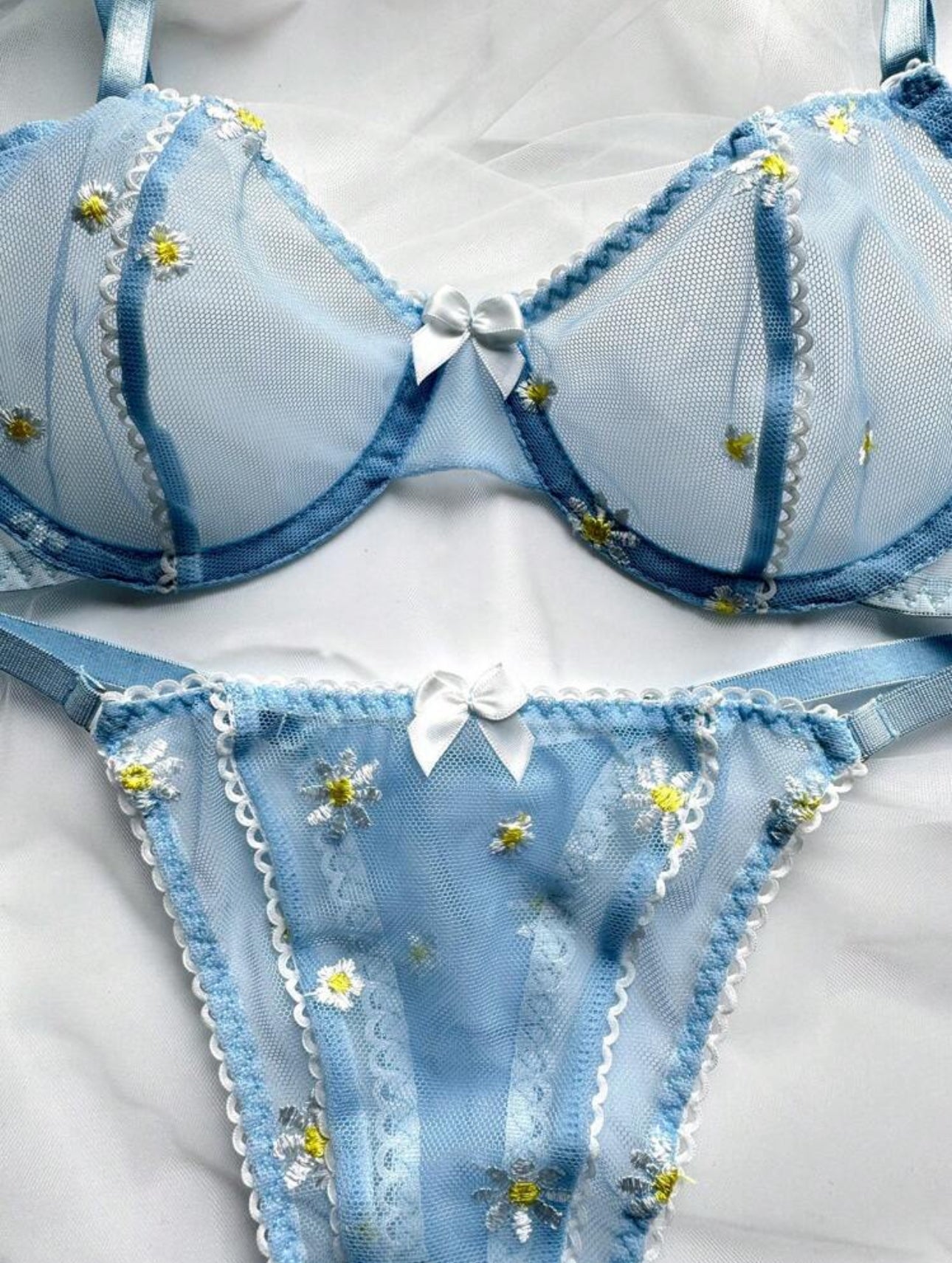 Set Paula